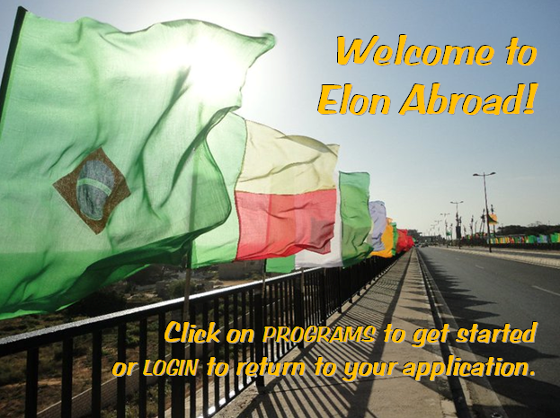 Elon Abroad Banner 5